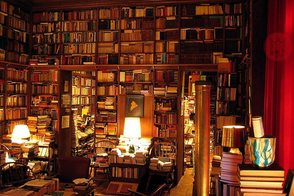 overstuffed-home library
